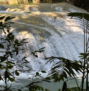 Magic Falls of Copalita