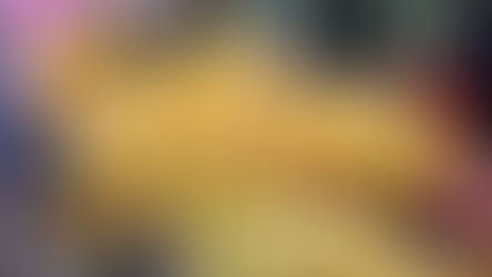 Bachoco, Pilgrim´s, San Antonio, Tayson y Pollo Querétaro se coluden para subir el precio del pollo.