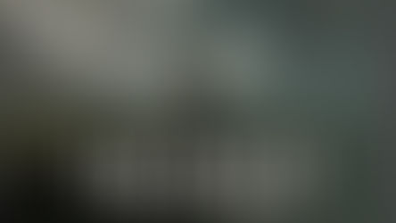 Image from Netflix series Untamed with Eric Bana standing in Yosemite