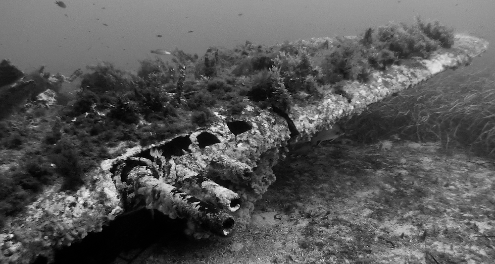 épave du P-47 de Santa Sévéra cap corse