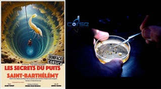 Projection du film documentaire "Les secrets du puits Saint-Barthélémy" à la Maison des sciences de Bastia.