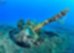 Epave en corse B25 Aléria