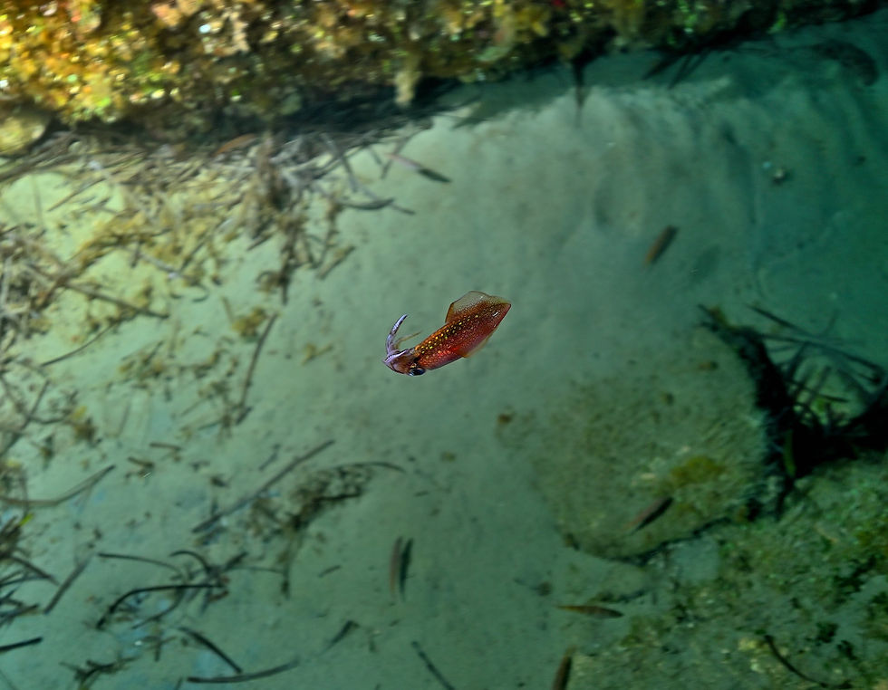 285905410_5576943208990830_5179732376938476593_n