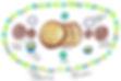 Yemenite seder table_edited.jpg
