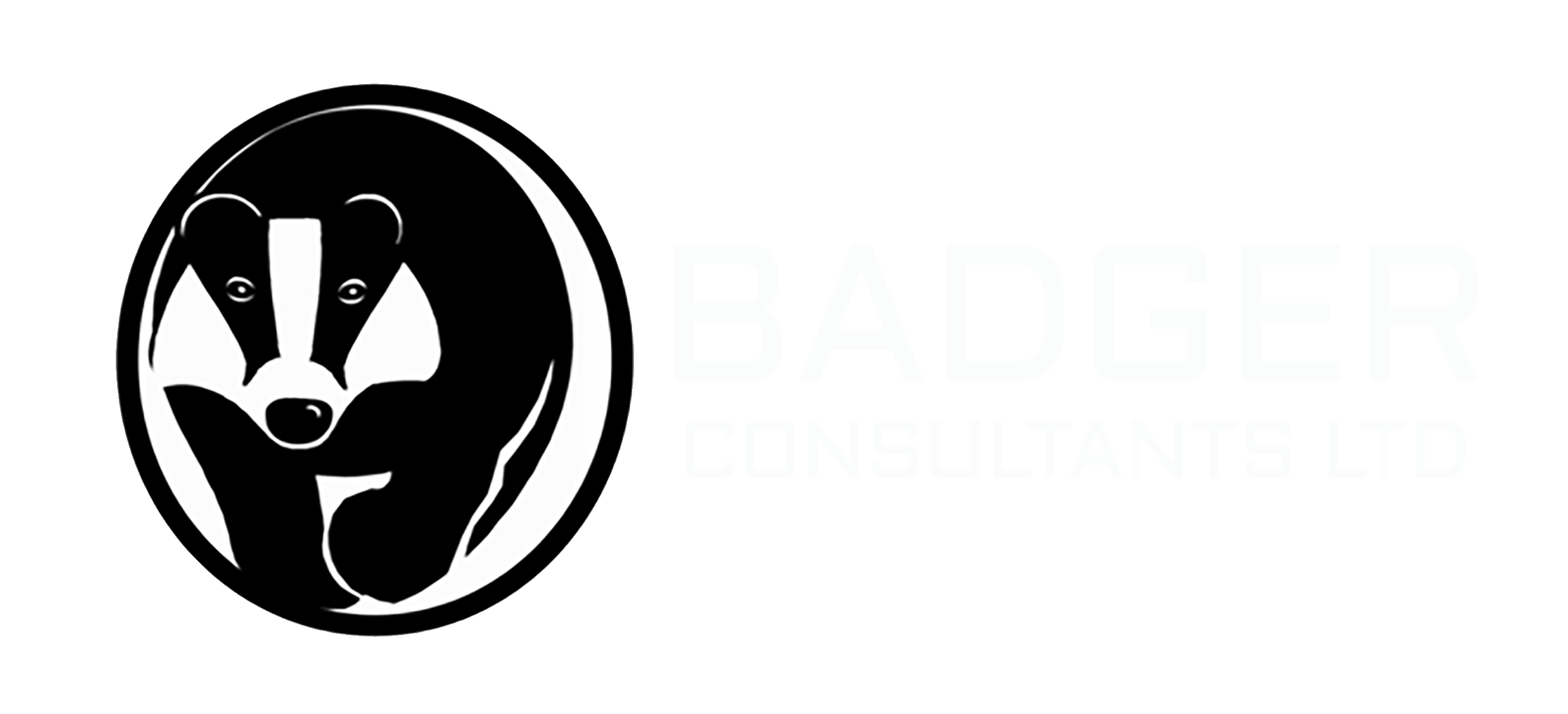 Badger consultants ltd logo