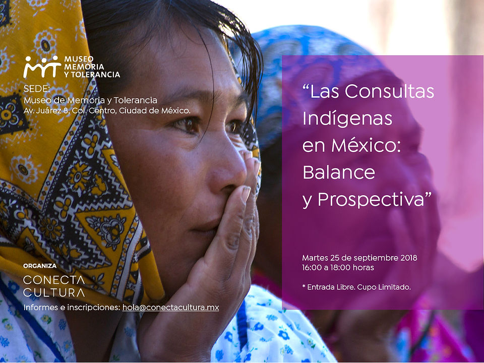 ConsultasIndigenasMYT_final (1)