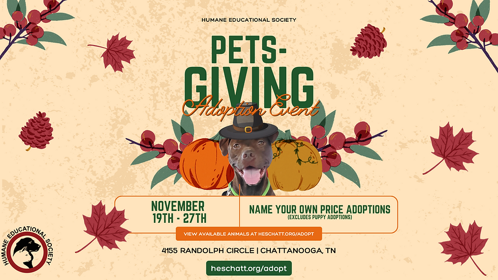 PetsGiving Adoption Event