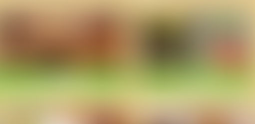 Desafio Proteína: Afinal o que posso eu comer?