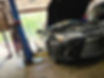 20250528_092027.jpg