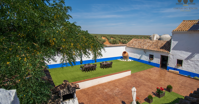 Patio exterior con césped, barbacoa y mesas cerca de Toledo