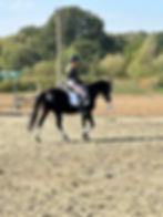 6c905853-6791-4159-85de-bf0d995f0994.jpeg