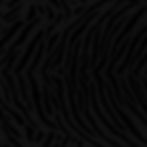 Gemini_Generated_Image_6pvng66pvng66pvn.jpg