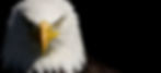 The Eagle