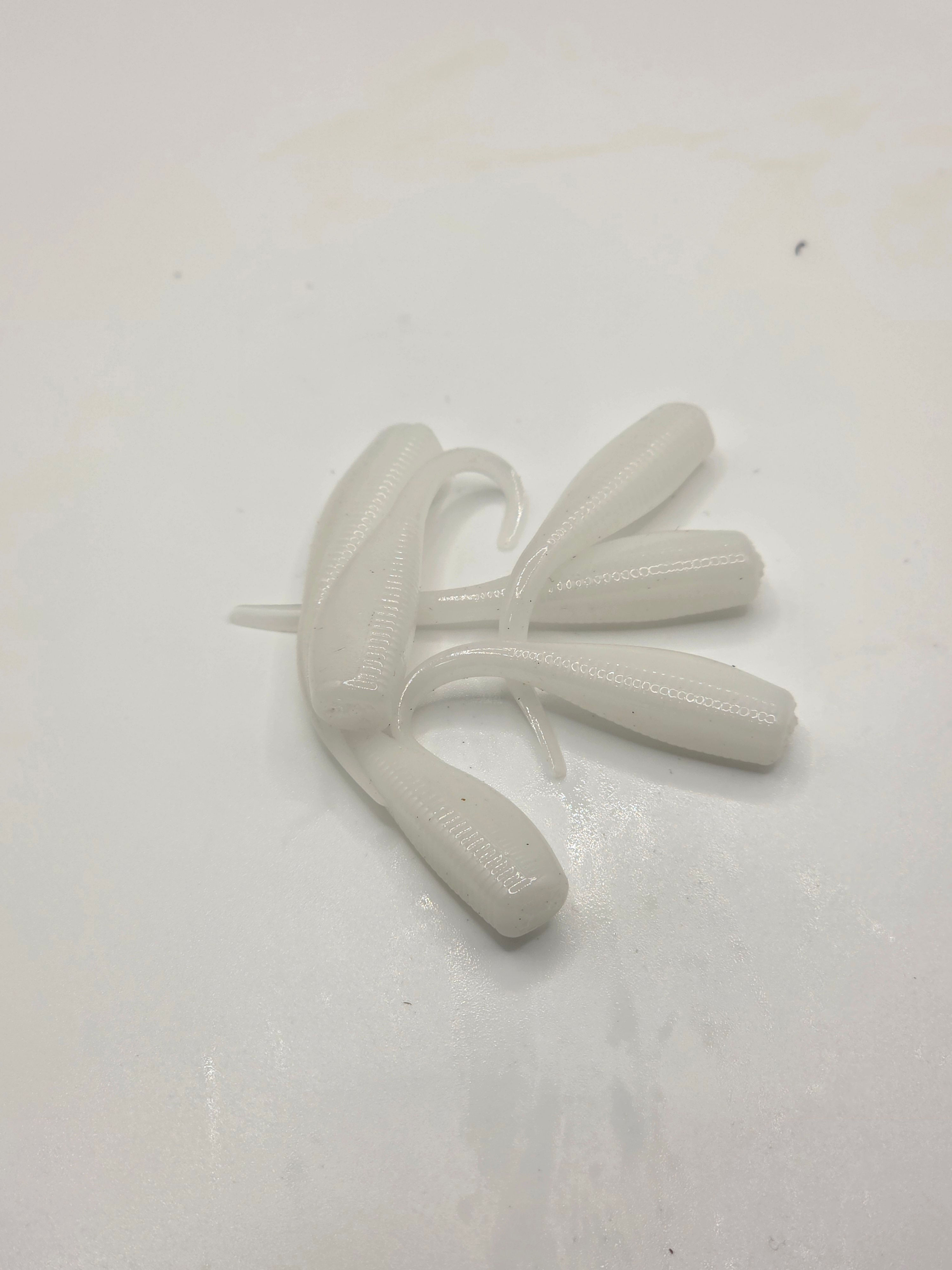 white 20pk garlic