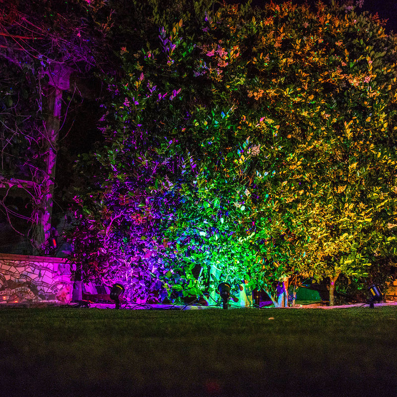 Backyard transformed with landscape lighting