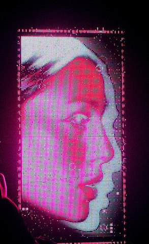 Digital visual portrait installation by Elin Fiorentino