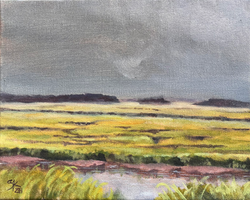 "After the Storm" available