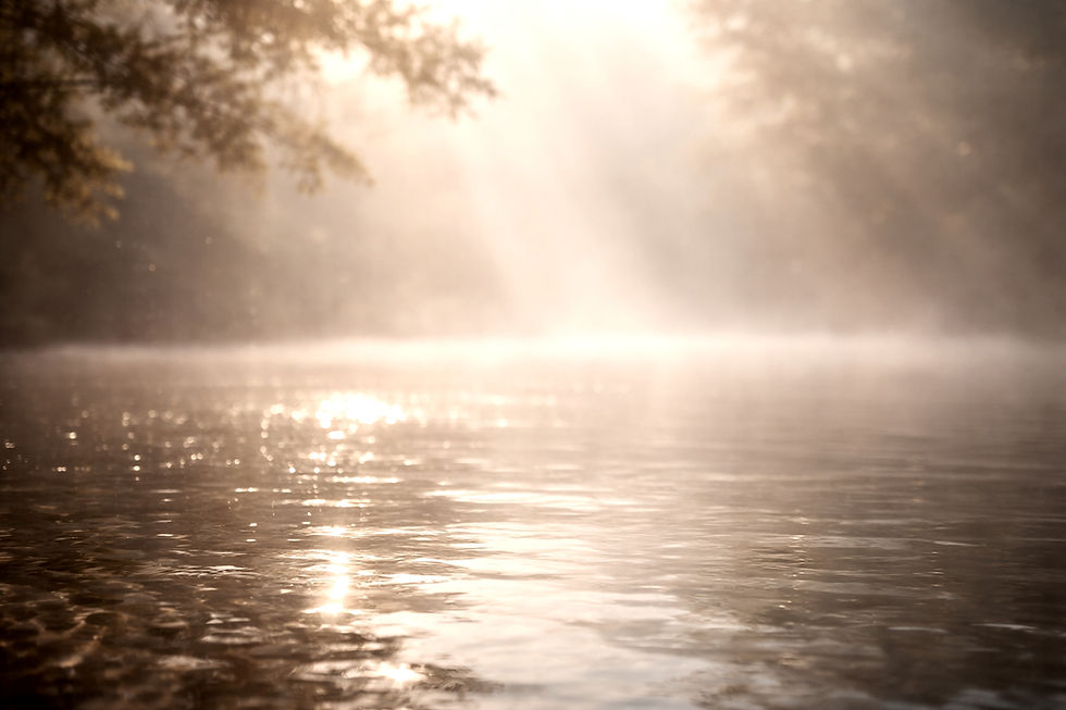 ChatGPT Image 25 janv_edited.jpg