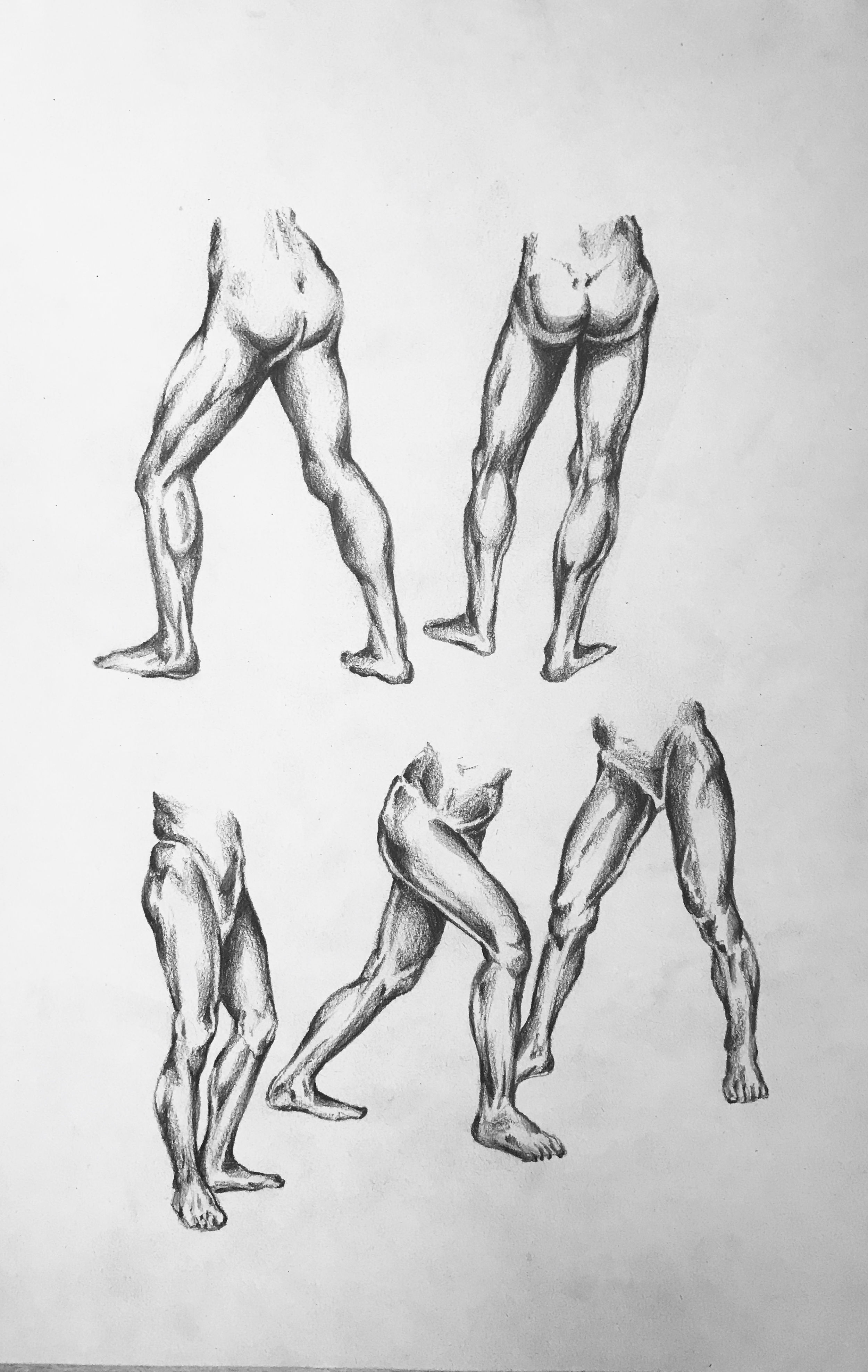Legs studies