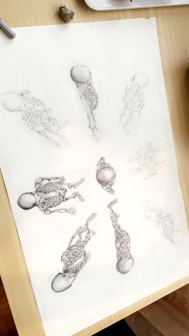 Miniatura: Prospettiva di anatomia ossea I