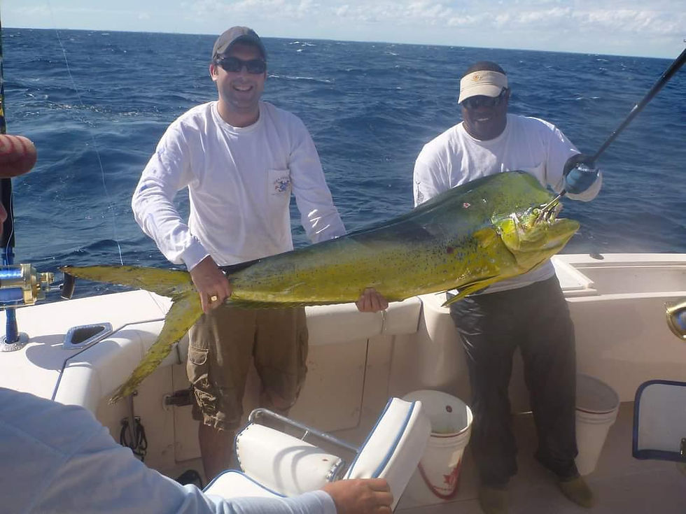 WhatsApp Image 2026-01-04 at 18.44.30 (1).jpeg