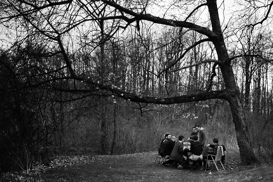 Narrative under tree.med.jpg