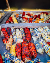 anishinaabe corn.jpeg