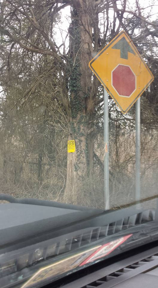 Oatlands Mill property line project