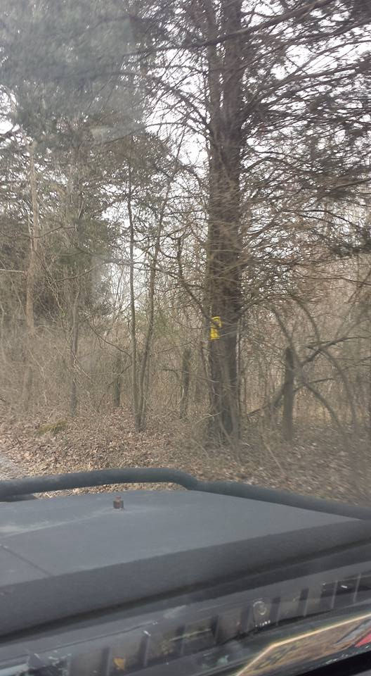 Oatlands Mill property line project