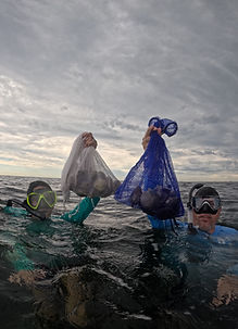 Snorkelers showing off their filled scallop nets
