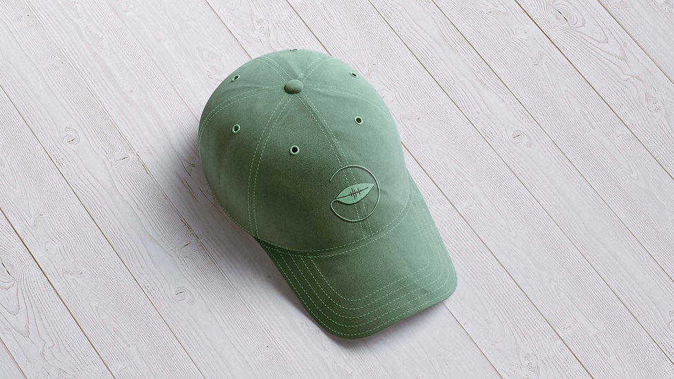 cap 2.jpg