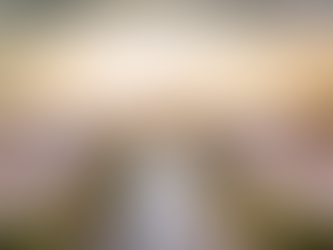 Top 10 Reasons to Choose Goa for Your Destination Wedding