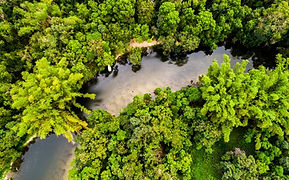 Projeto busca incentivar os Arranjos Produtivos Locais, ampliando as oportunidades econômicas e promovendo a sustentabilidade ambiental nos nove estados da Amazônia Legal Da castanha ao açaí, do cacau aos biocosméticos, dezenas de cadeias produtivas ligadas à sociobiodiversidade amazônica estão sendo analisadas em um amplo projeto que pretende transformar o potencial econômico da floresta em oportunidades concretas de desenvolvimento sustentável para os estados que compõem a Amazônia Legal....