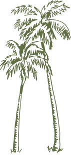 Coqueiros1.png