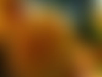 Daily Photo–Strange Fruit