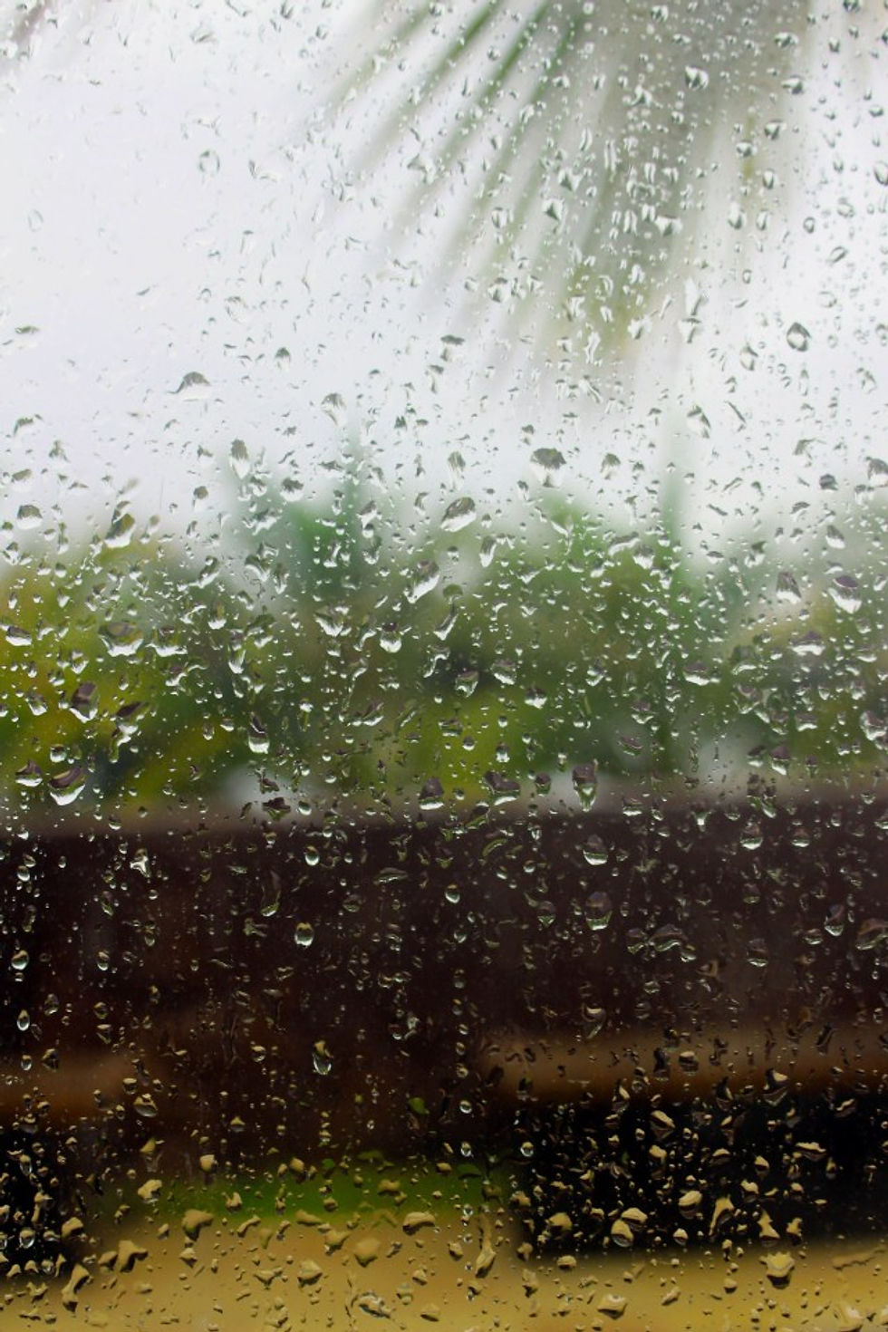 Raindrops on a glass divider in Abu Dhabi.
