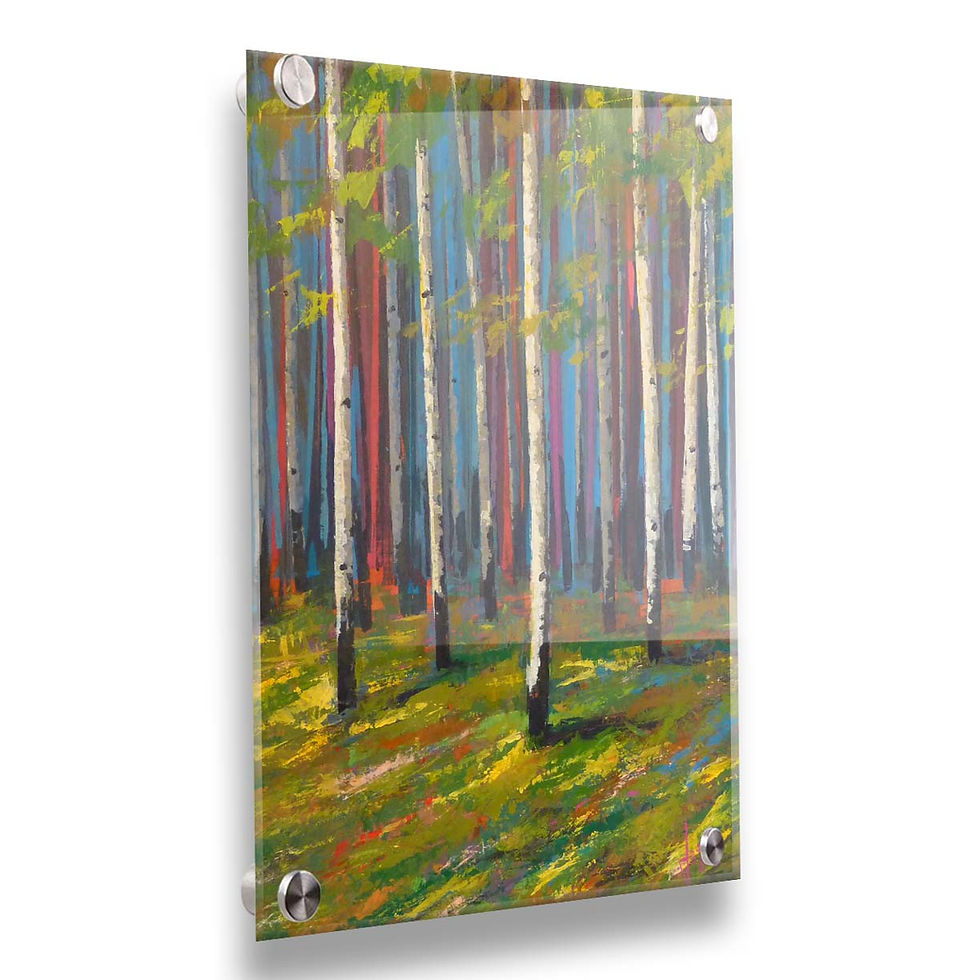 Thumbnail: Birch Silhouette