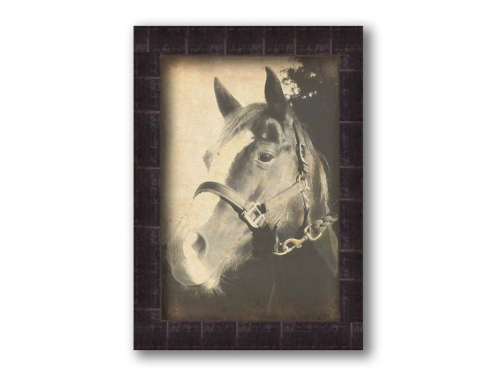 Thumbnail: Mare Horse in Sepia
