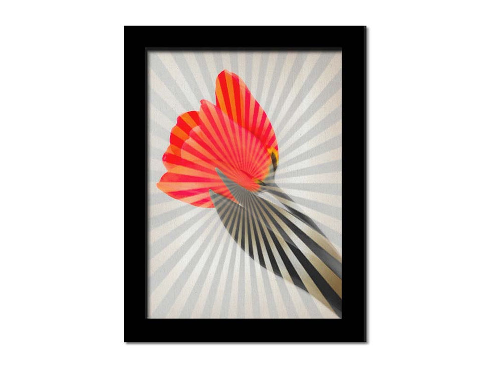Thumbnail: Tulip Splash