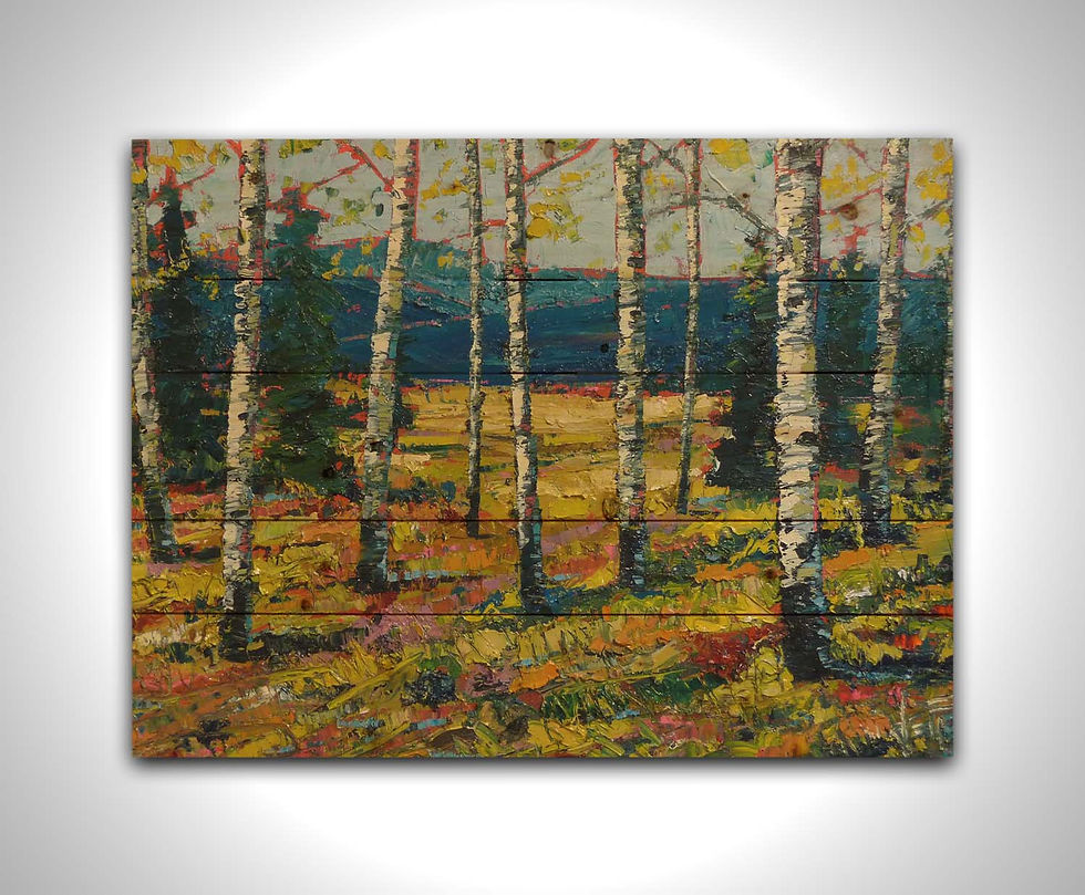 Thumbnail: Backcountry