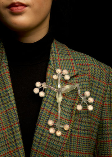 Metamorphoses brooch by Mizuki Tochigi. Transparent frog represents the changing nature of money, which has become less visible and physical over time.