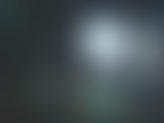 Everybody Should Be a Writer