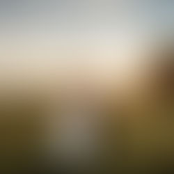 A bride and Groom at Enviromental Services Building during sunset