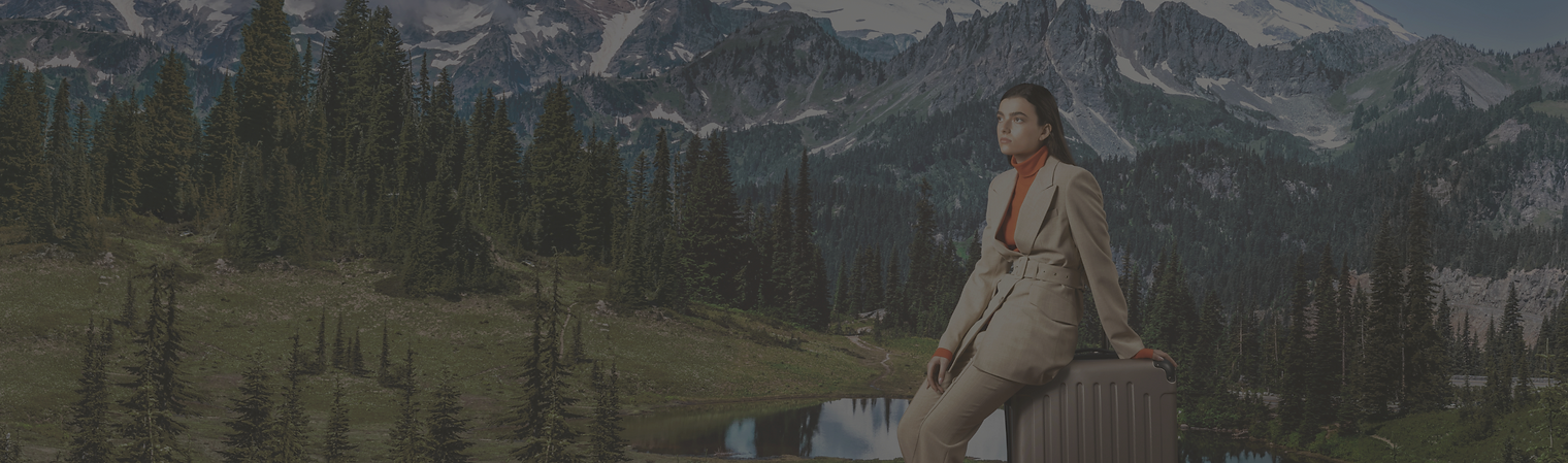 Traveler with Suitcase_edited_edited.png