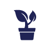 plant.gif