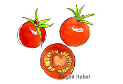 Tomates