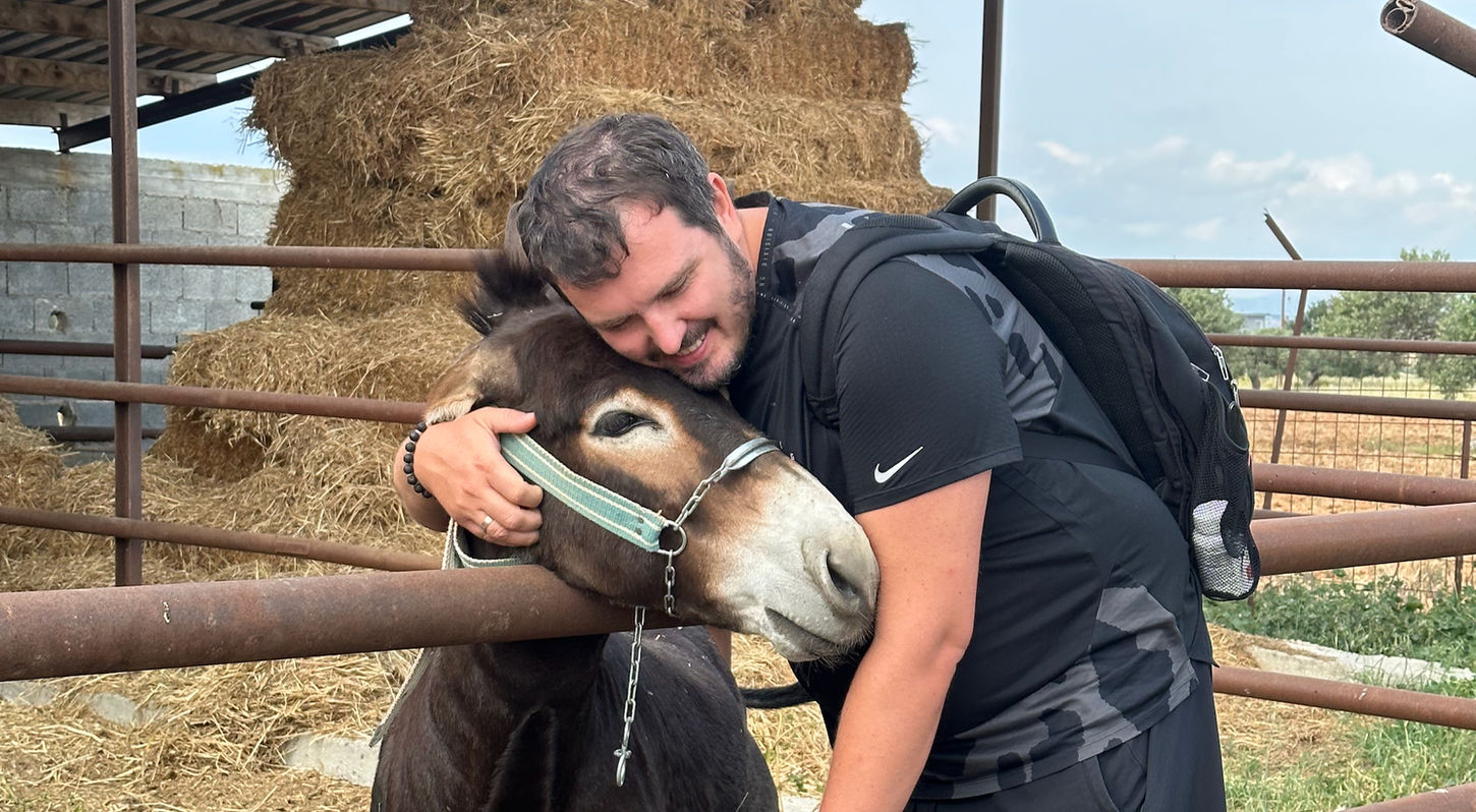 Hug in Farm