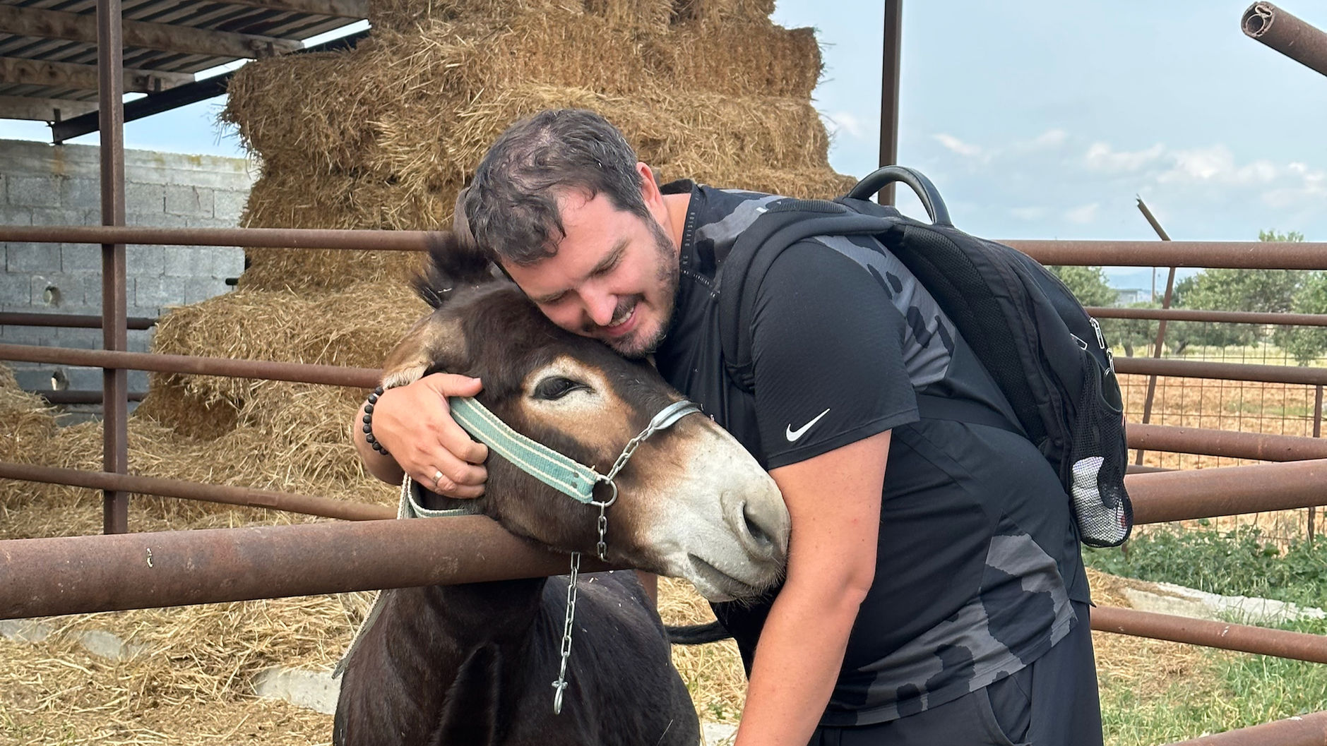 Hug in Farm