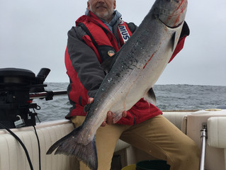 The Salmon are Chomping!!!!