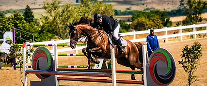Showjumping Competition